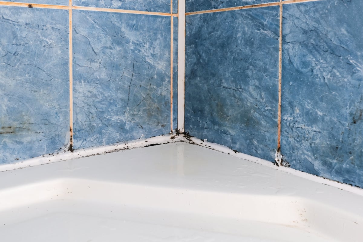 Mold fungus and rust growing in tile joints in damp bathroom with moisture problem